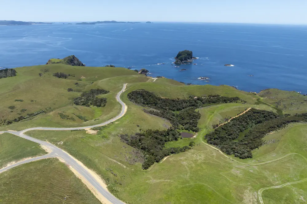 Lot 49 WaiKowhai-0052