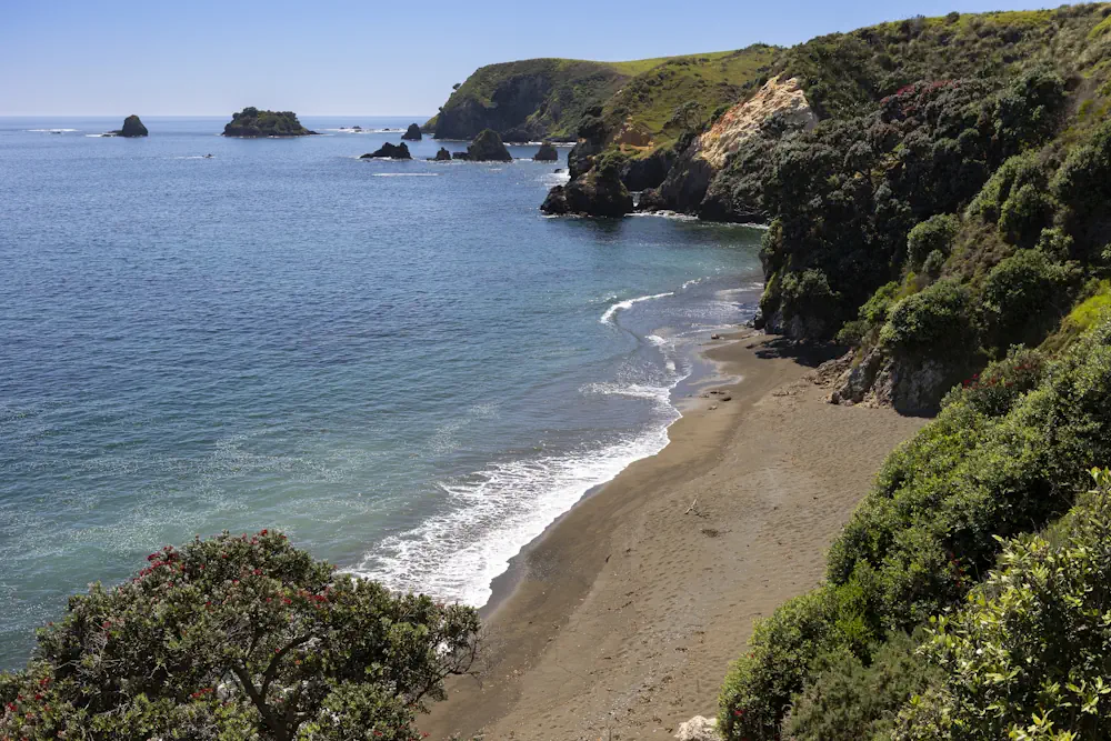 Lot 49 WaiKowhai-8851