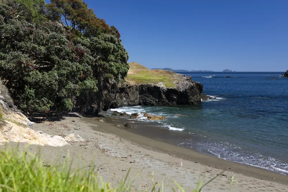 Lot 49 WaiKowhai-8852