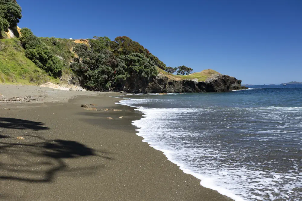 Lot 49 WaiKowhai-8854