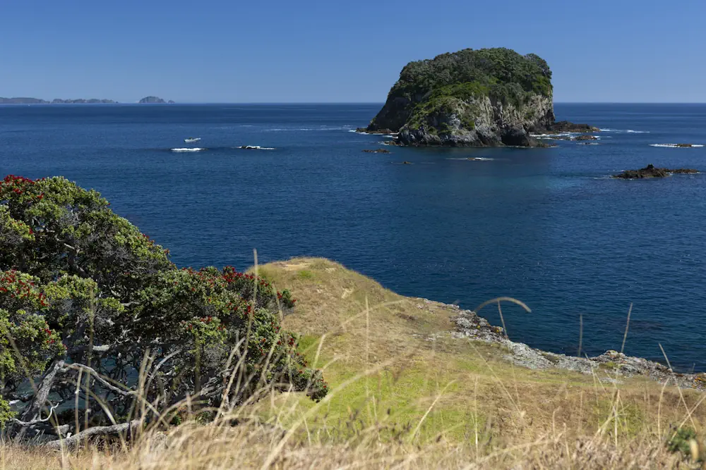 Lot 49 WaiKowhai-8858