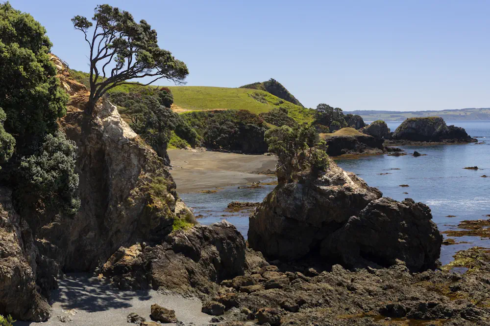 Lot 49 WaiKowhai-8925