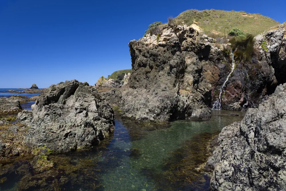 Lot 49 _ 50 WaiKowhai-8929