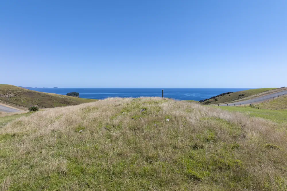 Lot 12 WaiKowhai-0295