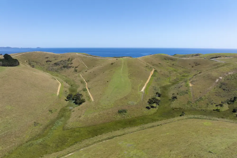 Lot 12 WaiKowhai-0297