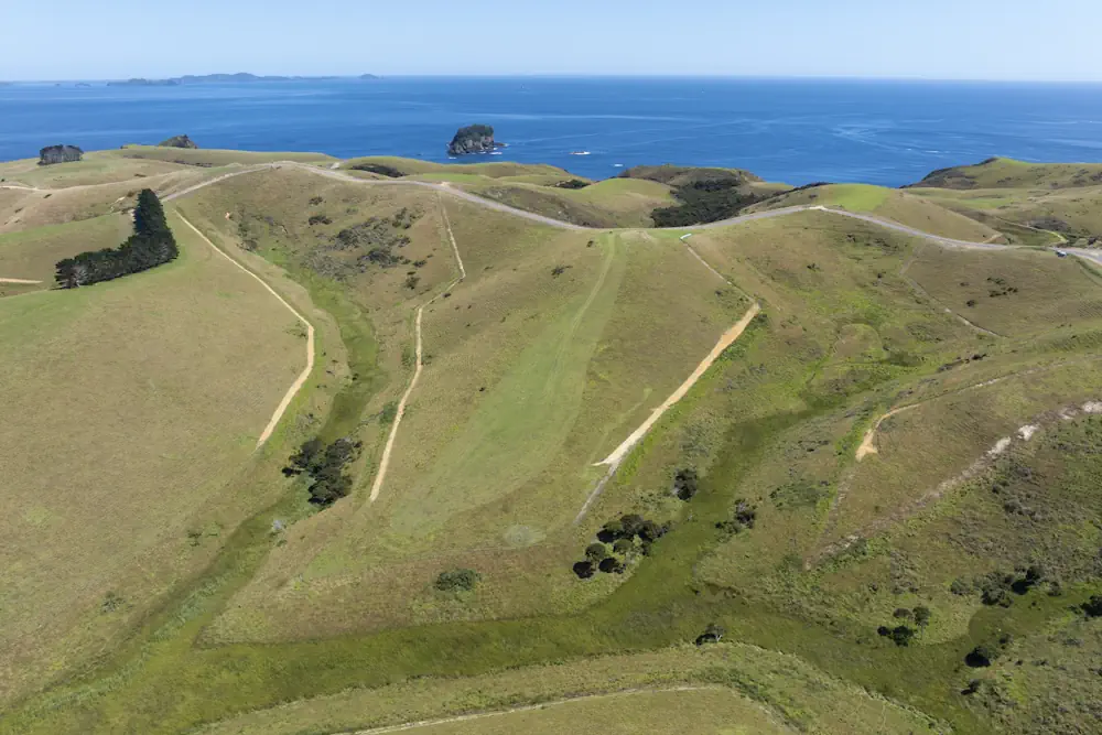 Lot 12 WaiKowhai-0299