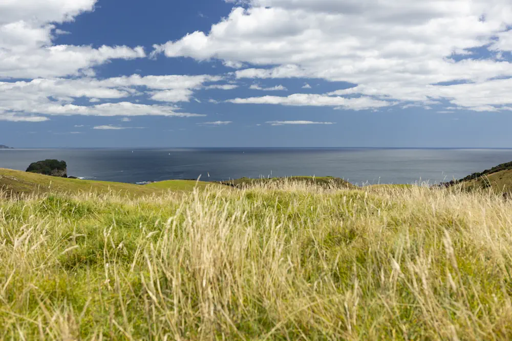 Lot 12 WaiKowhai-9851