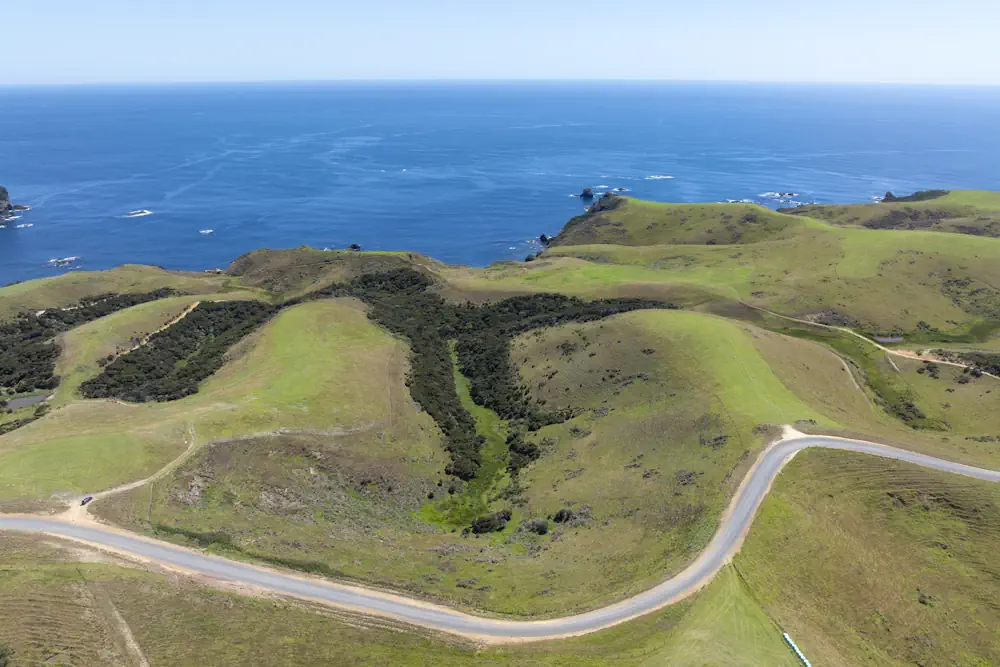 Lot 50 WaiKowhai-0312