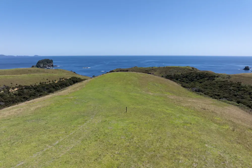 Lot 50 WaiKowhai-0317