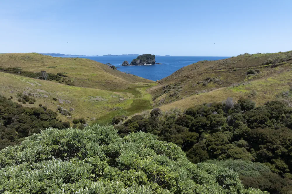 Lot 50 WaiKowhai-0343