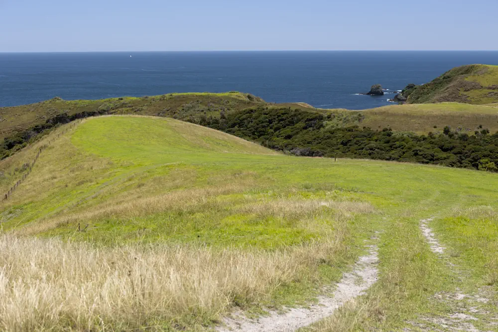 Lot 50 WaiKowhai-9862