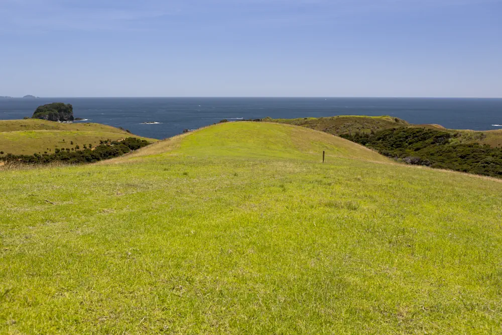 Lot 50 WaiKowhai-9864