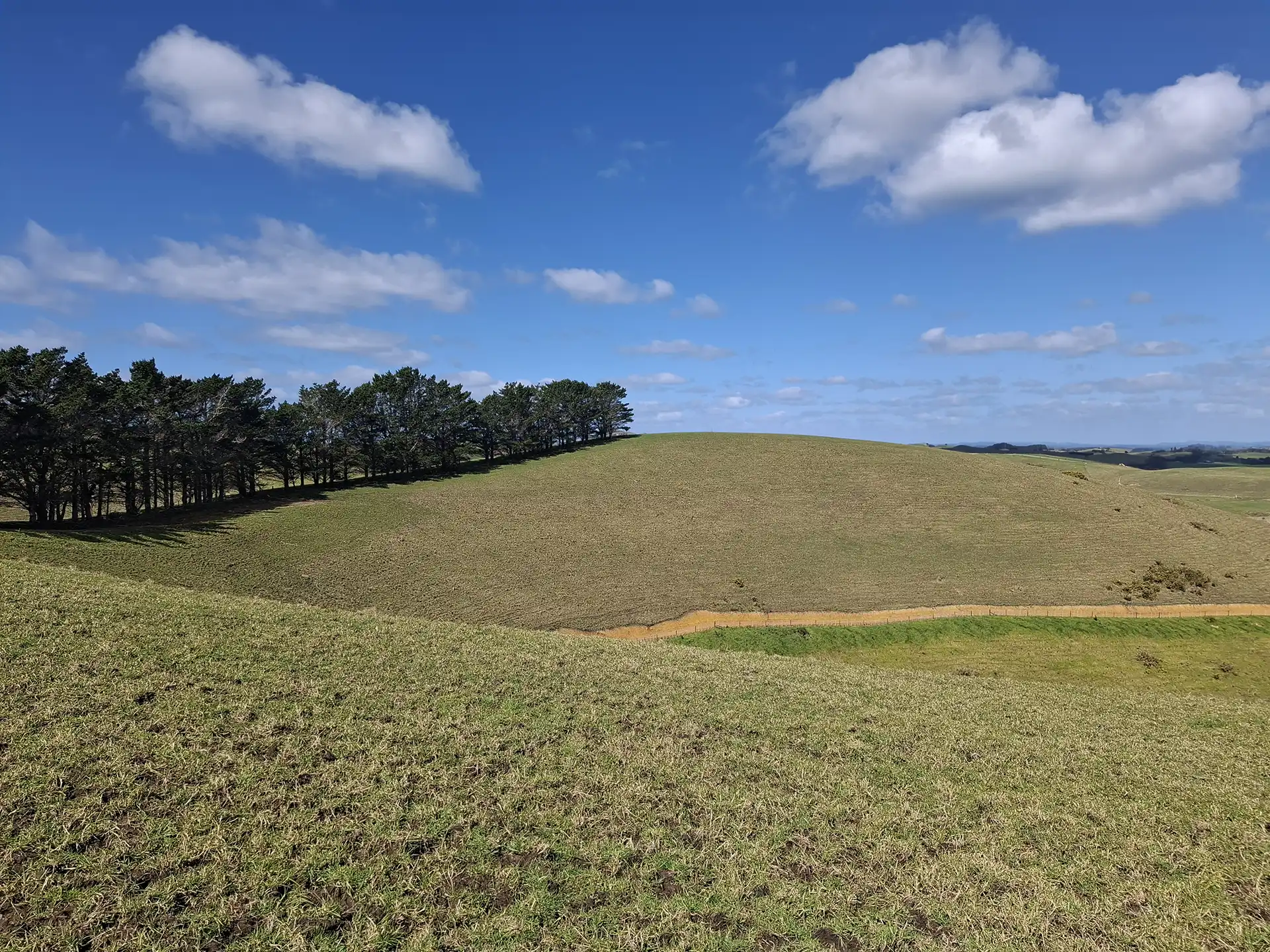 Wai Kōwhai Lot 10 -2