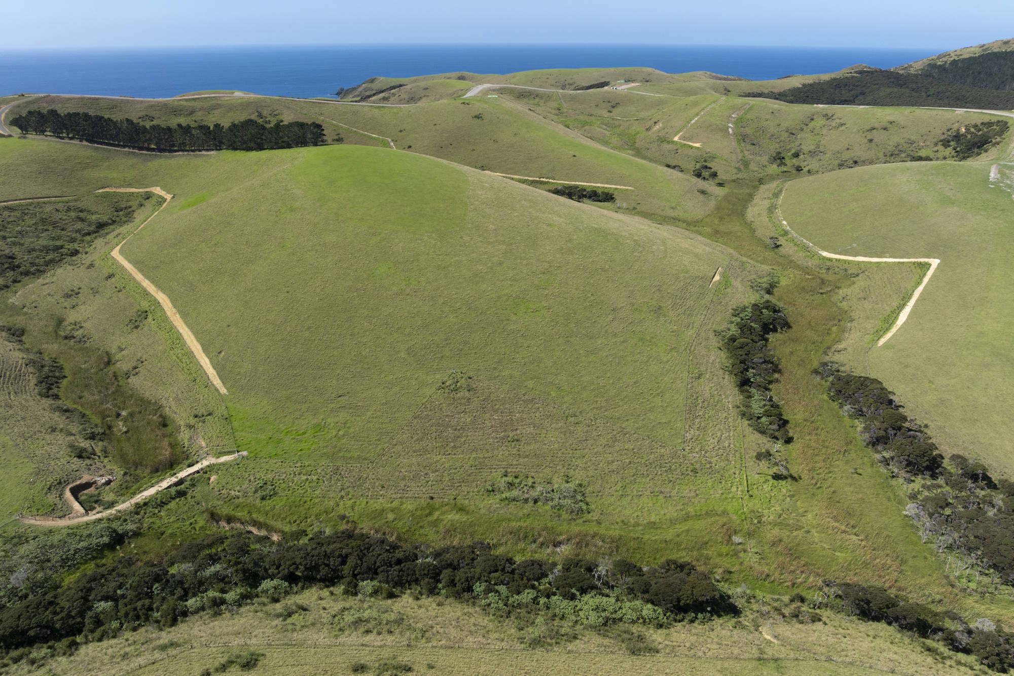 Wai Kowhai Lot 11-0754