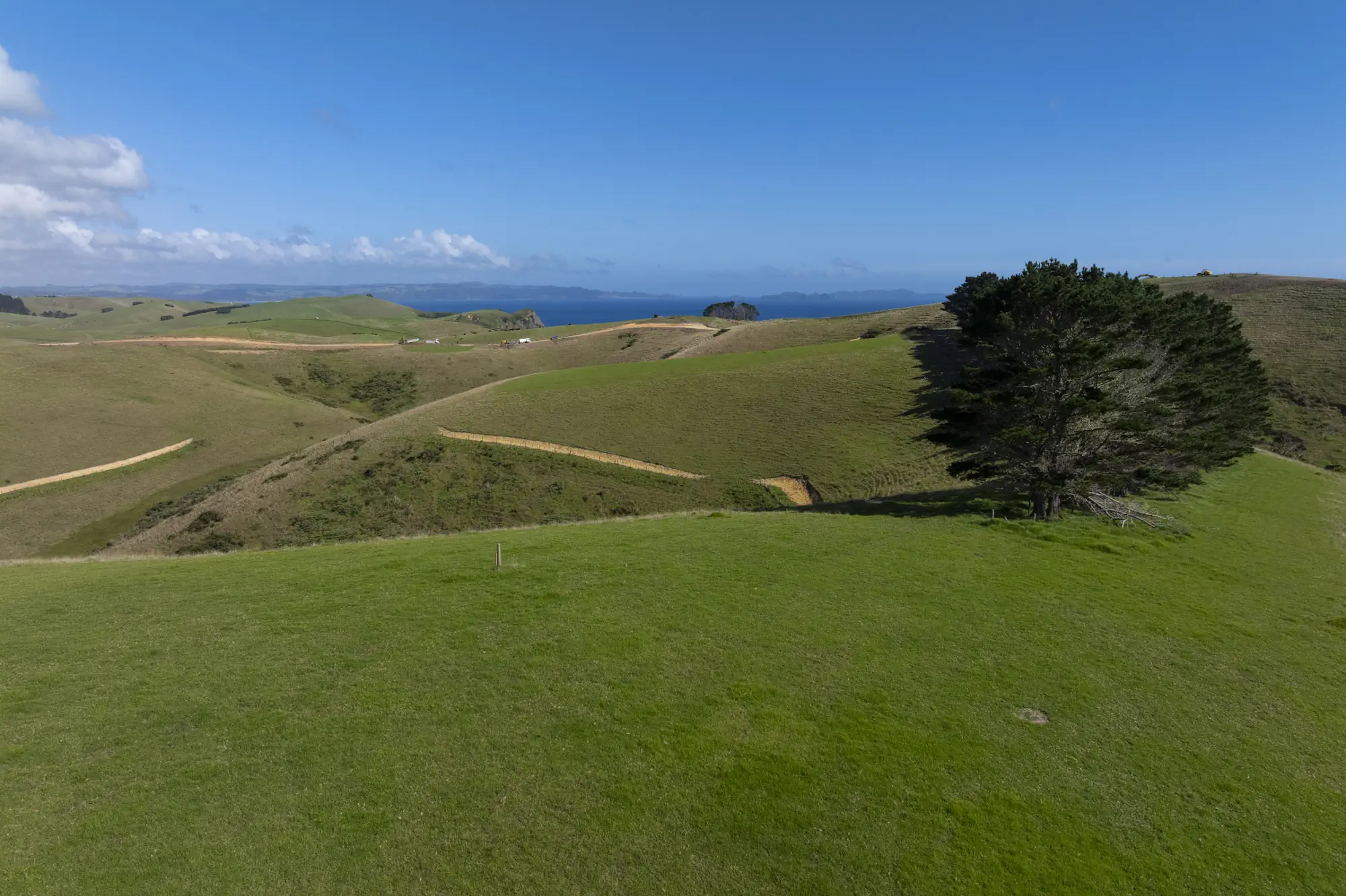 Wai Kowhai Lot 11-0777