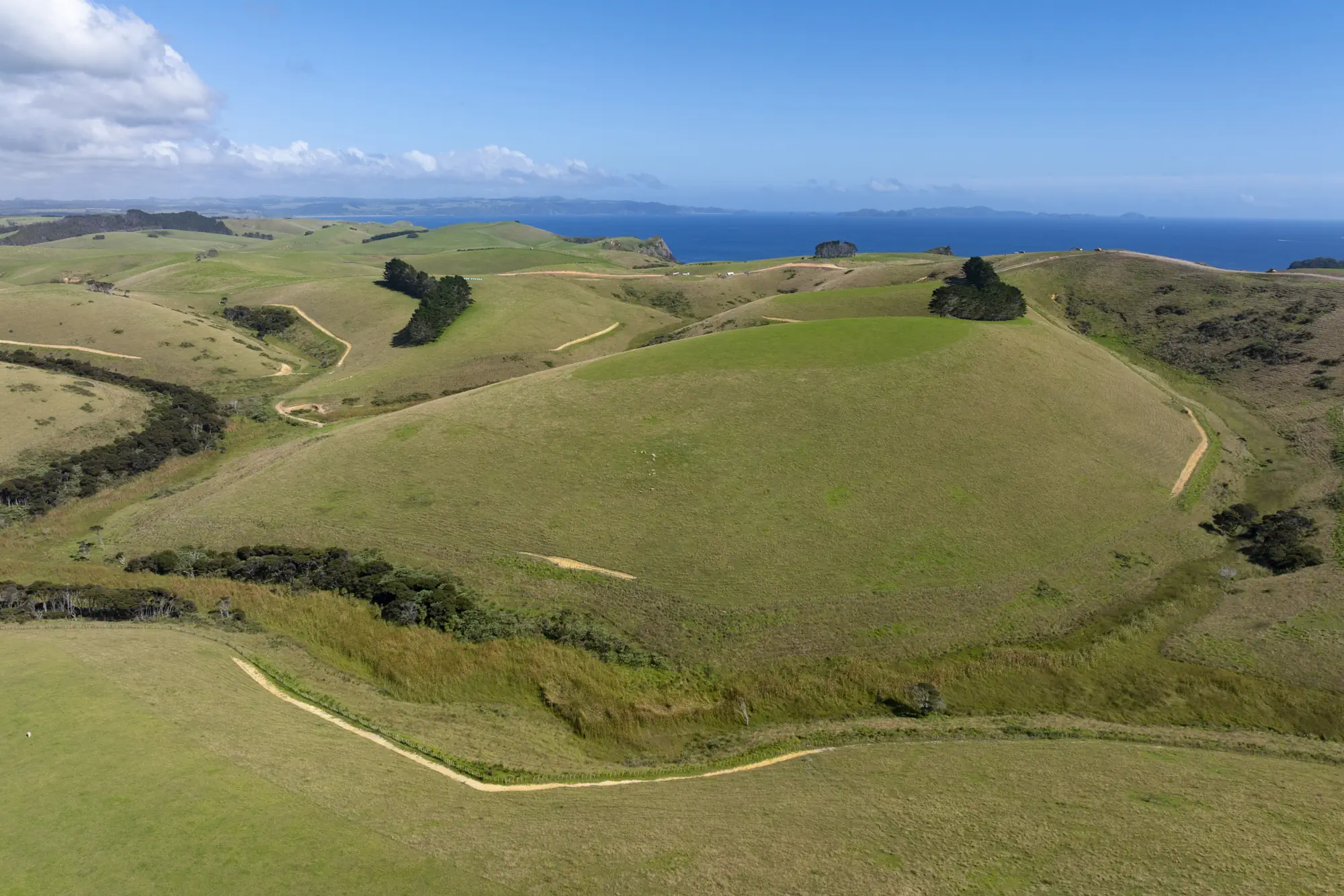 Wai Kowhai Lot 11-0781
