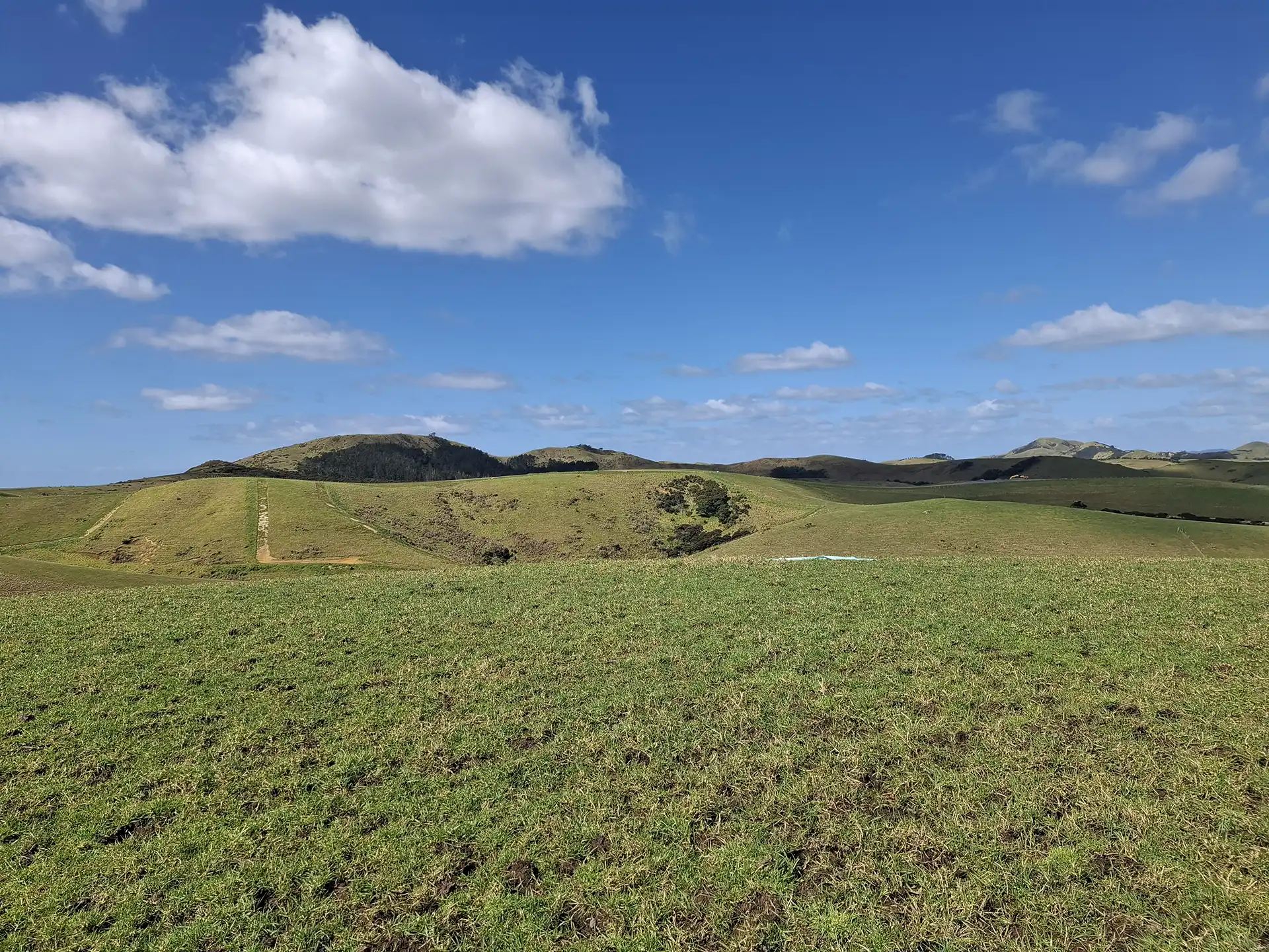 Wai Kōwhai Lot 11 -2