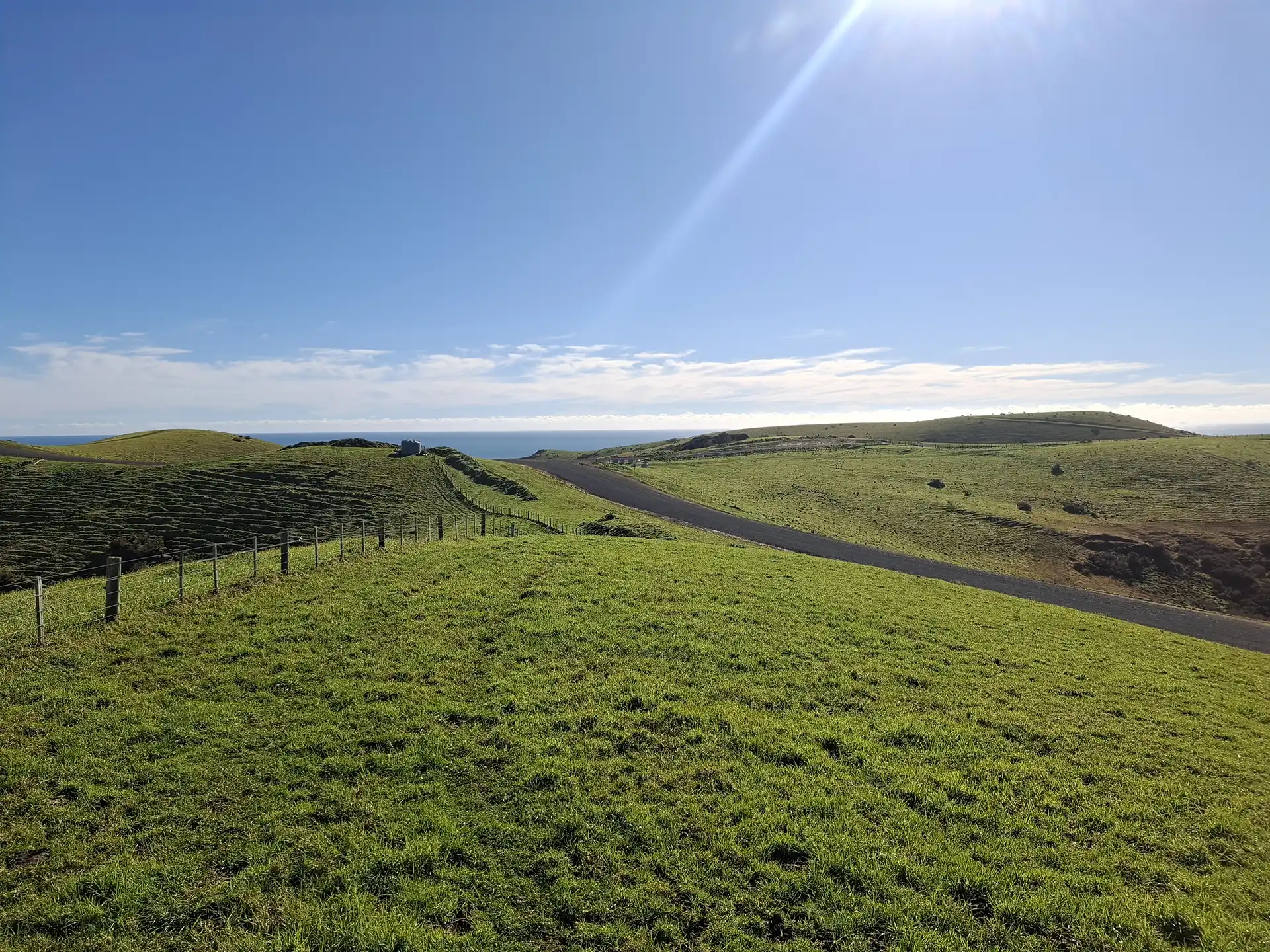 Wai Kōwhai Lot 13 -1