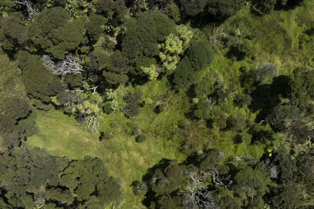 Wai Kowhai Lot 14-0712