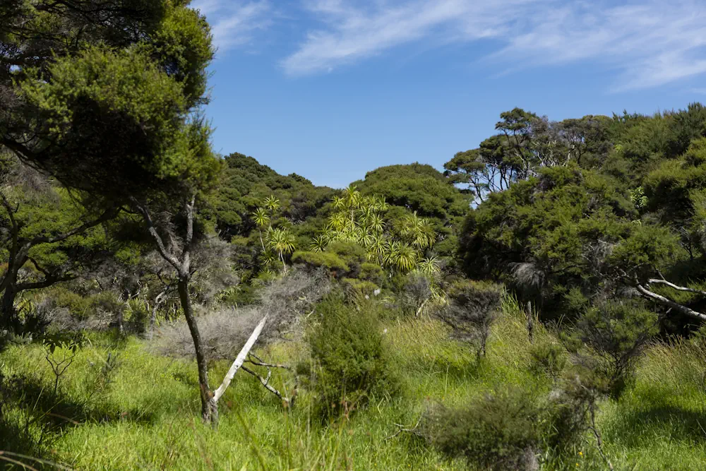 Wai Kowhai Lot 14-1912