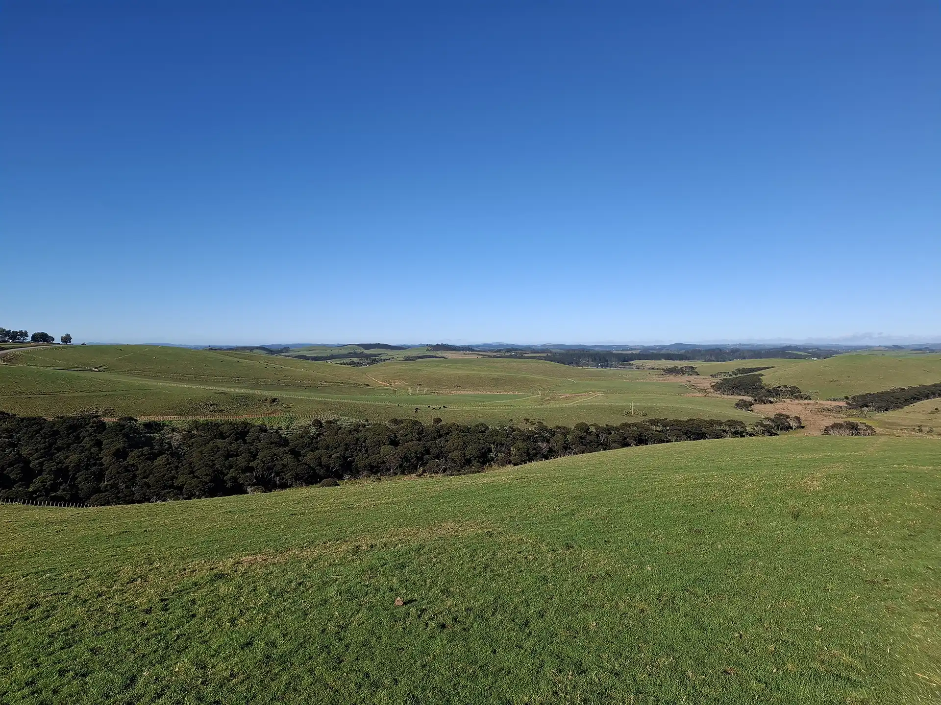 Wai Kōwhai Lot 14 -3