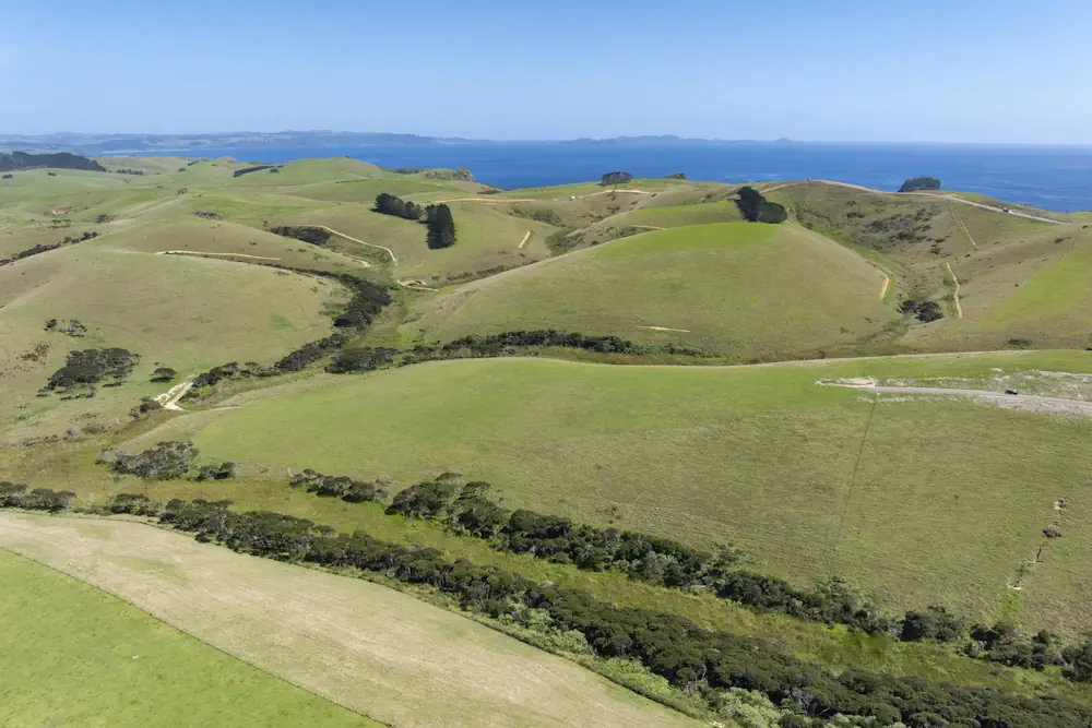 Wai Kowhai Lot 15-0698