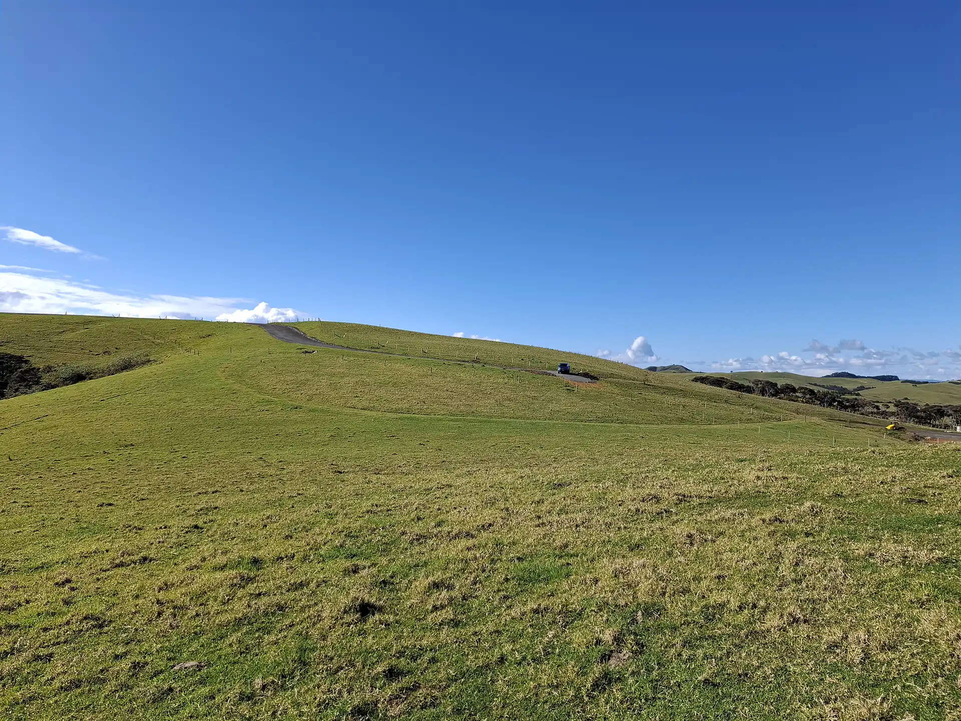 Wai Kōwhai Lot 19 -2