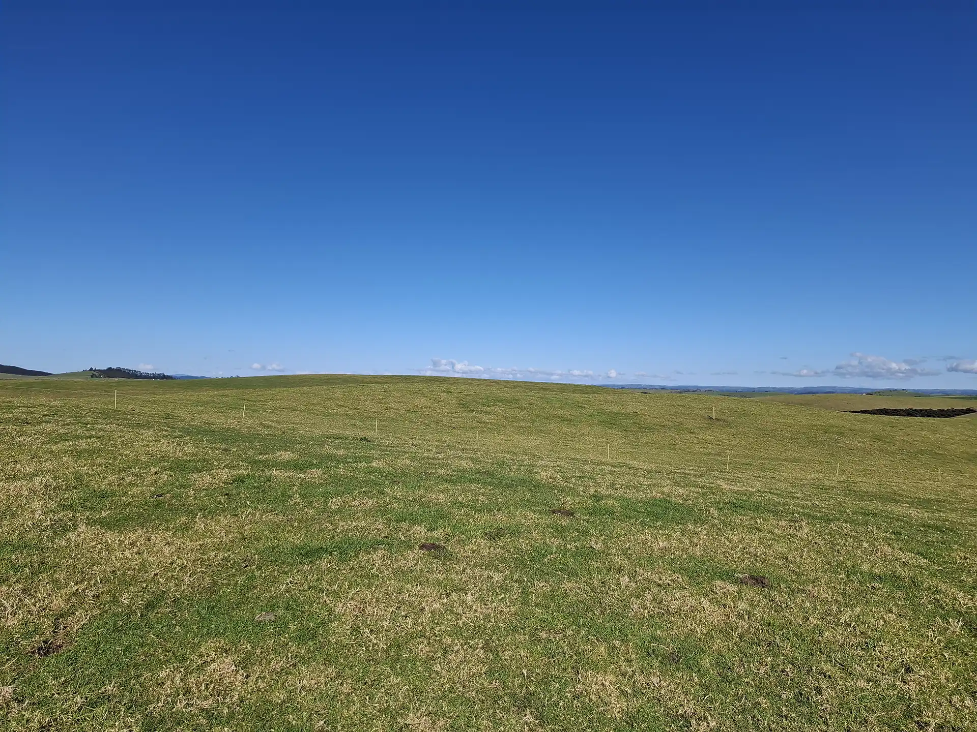 Wai Kōwhai Lot 19 -3