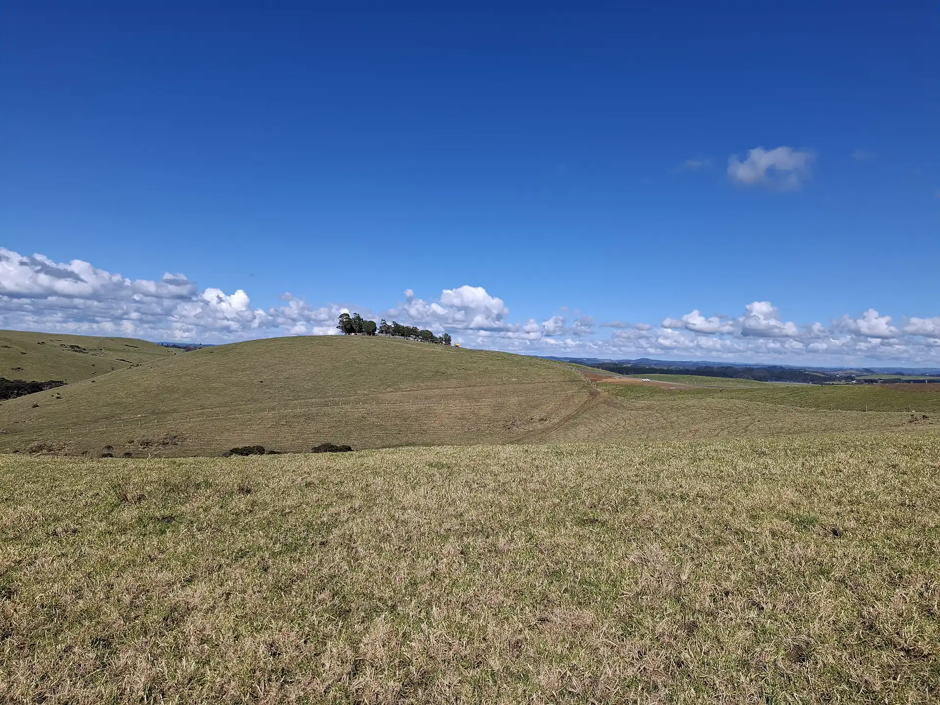 Wai Kōwhai Lot 26 -3