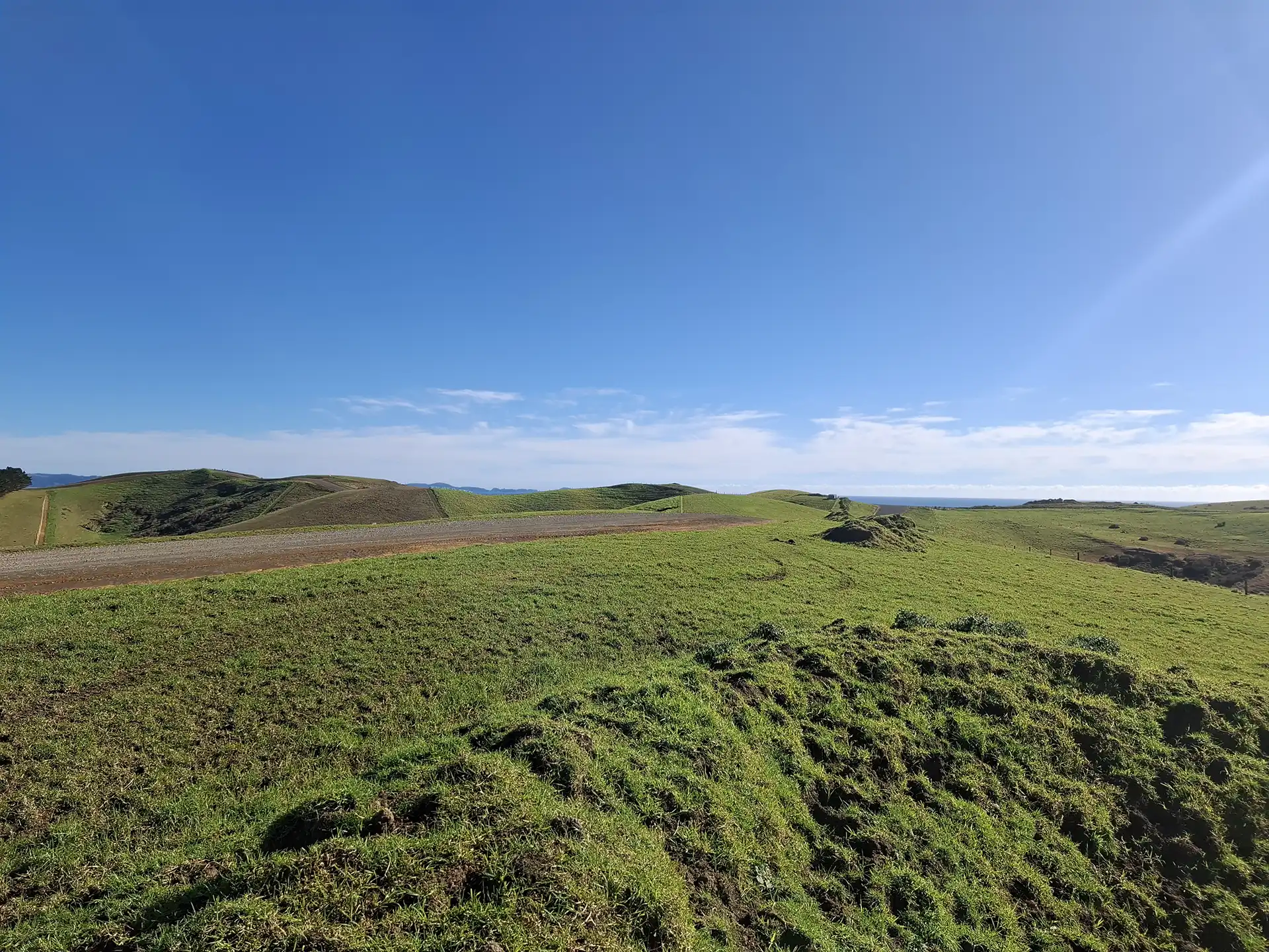 Wai Kōwhai Lot 27 -1