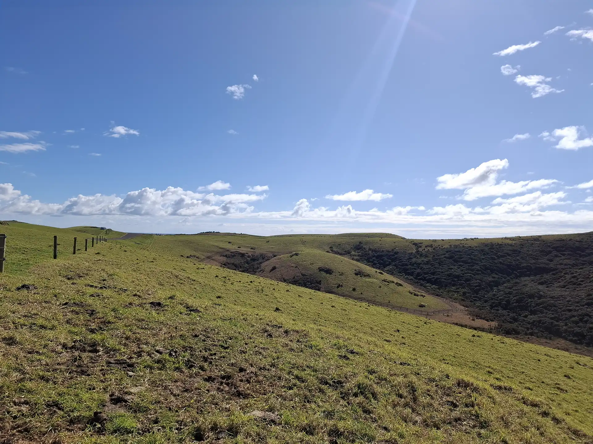 Wai Kōwhai Lot 27 -5