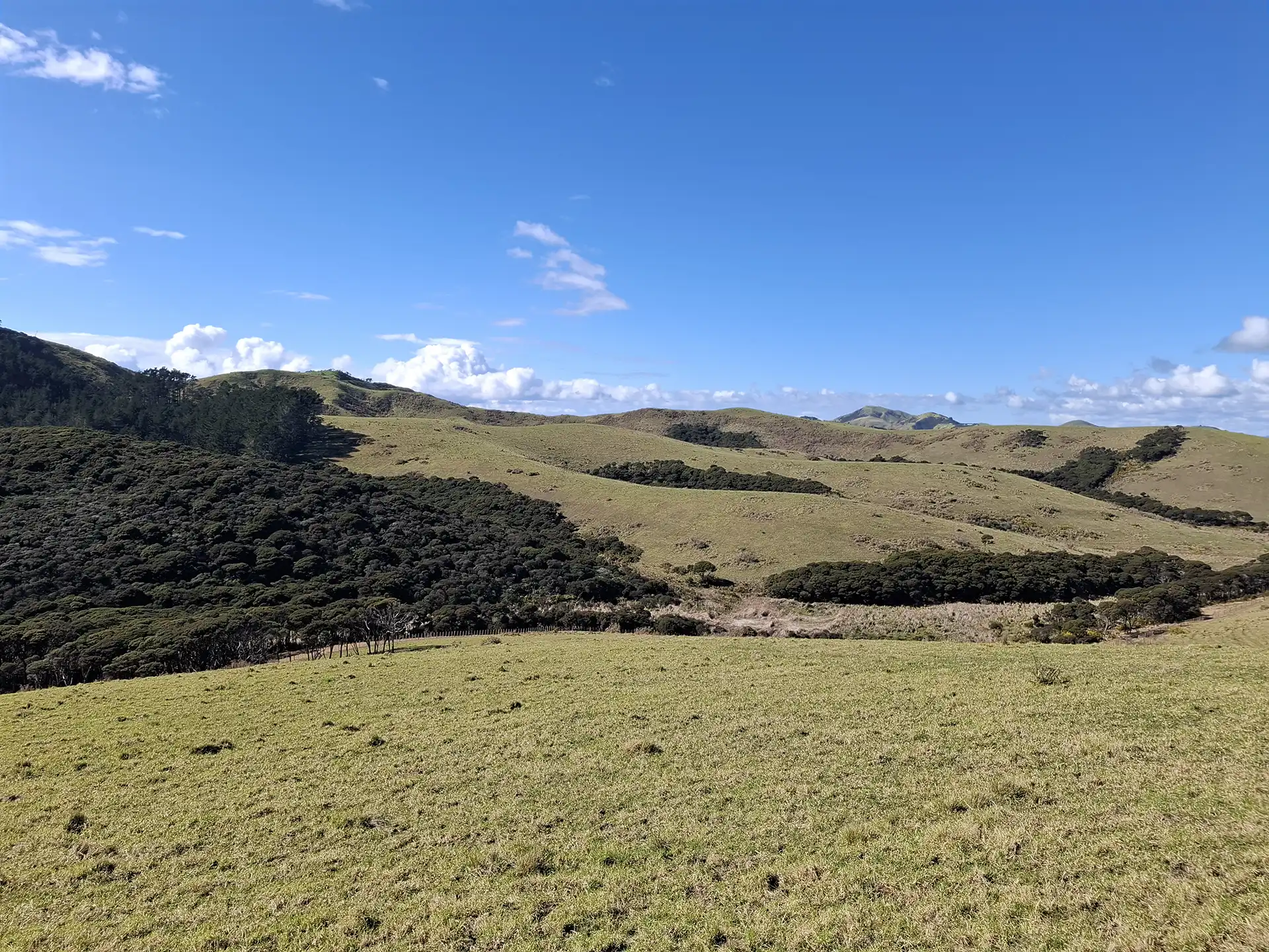 Wai Kōwhai Lot 27 -6