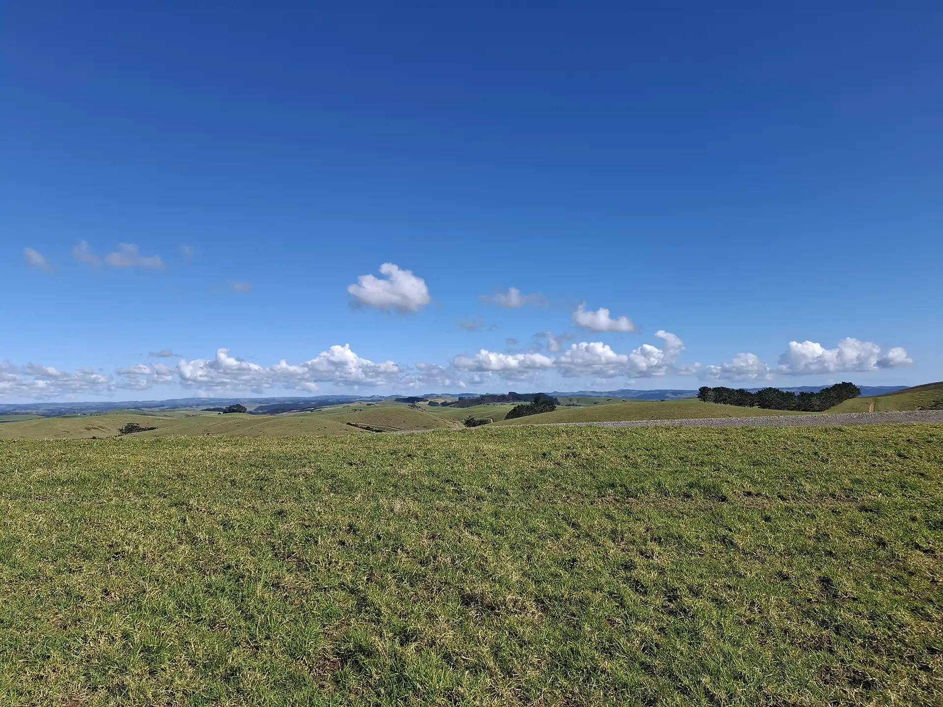 Wai Kōwhai Lot 27 -8