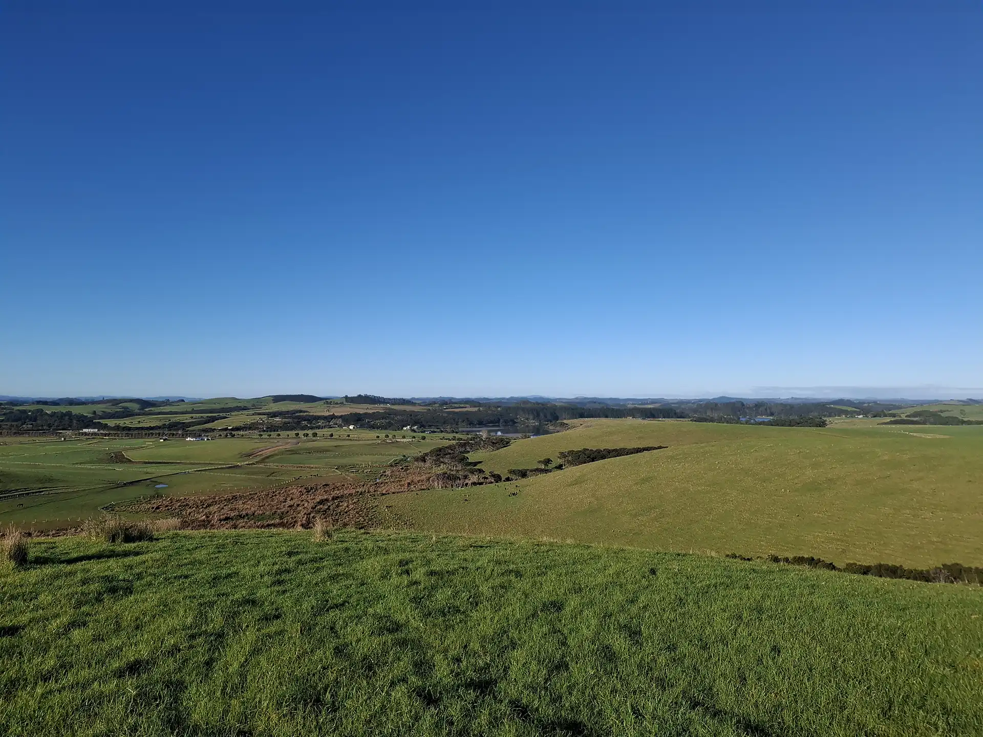 Wai Kōwhai Lot 3 -3