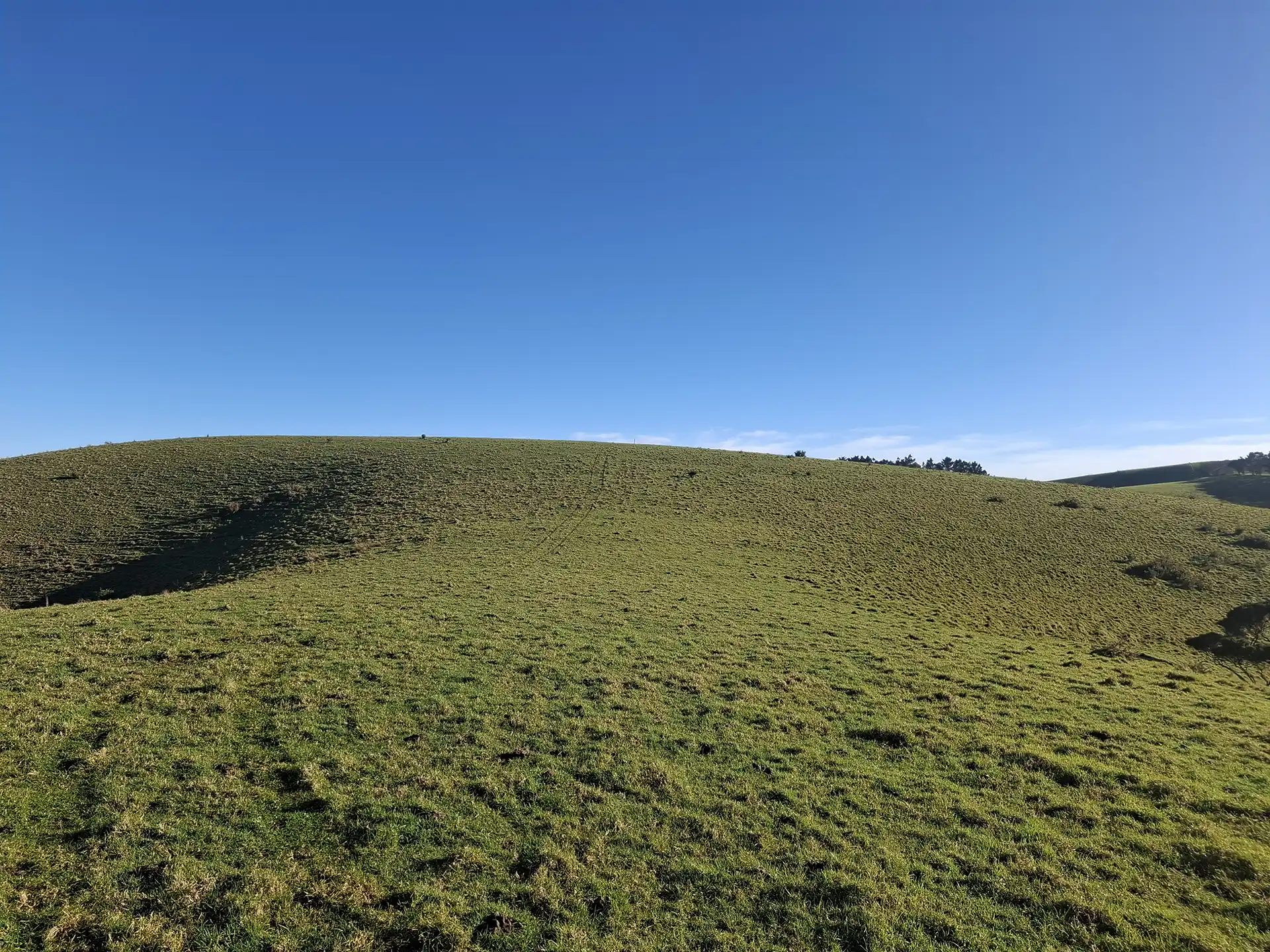 Wai Kōwhai Lot 5 -1