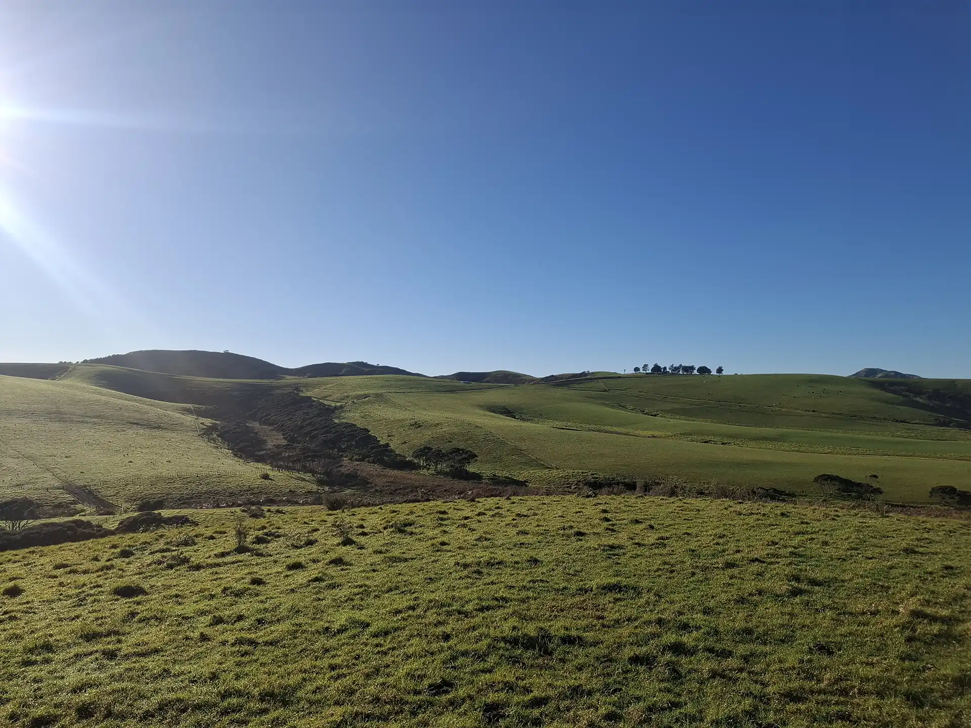 Wai Kōwhai Lot 5 -2