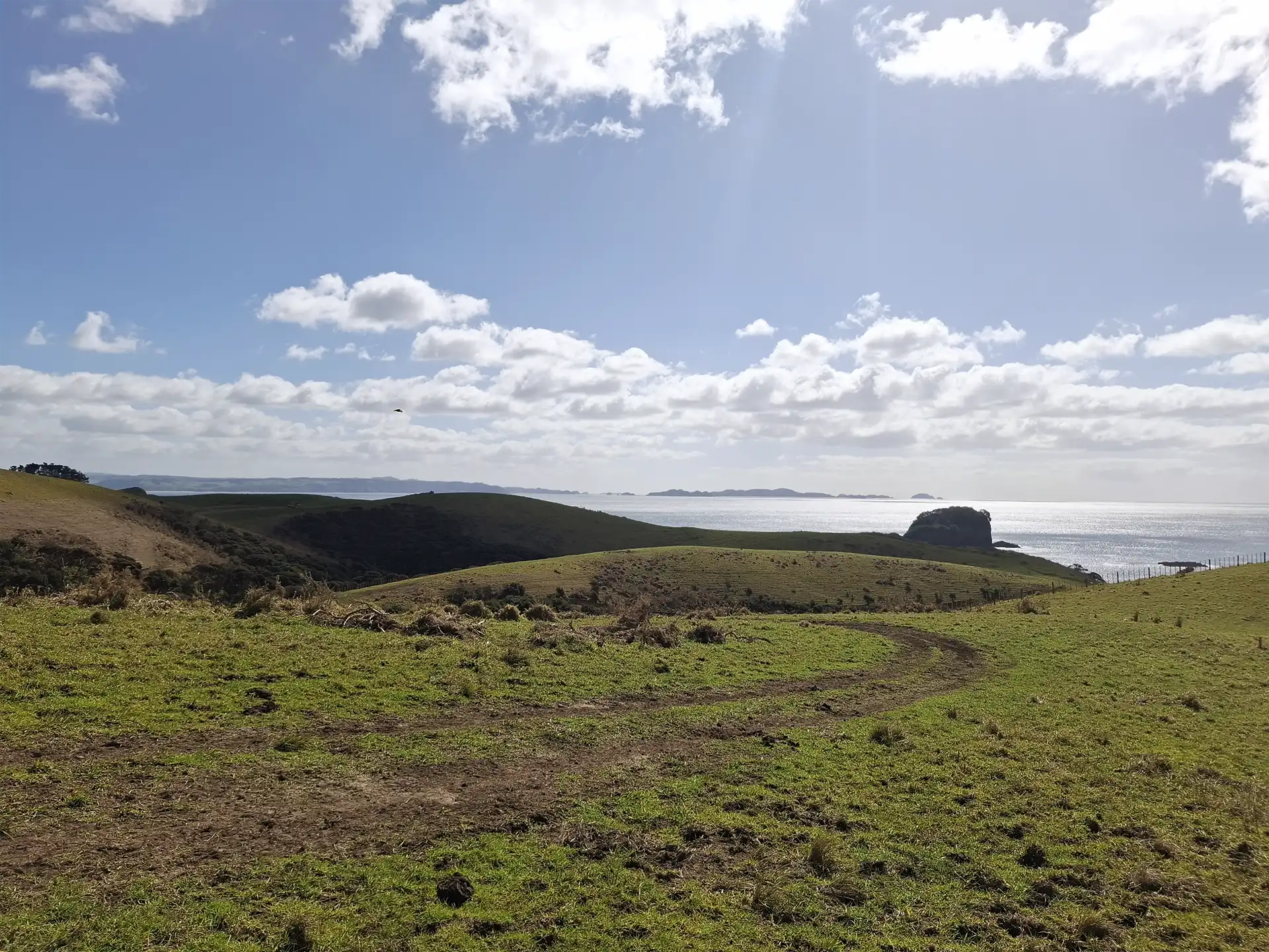 Wai Kōwhai Lot 50 -2