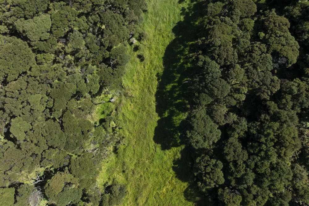 Wai Kowhai Lot 51-0788