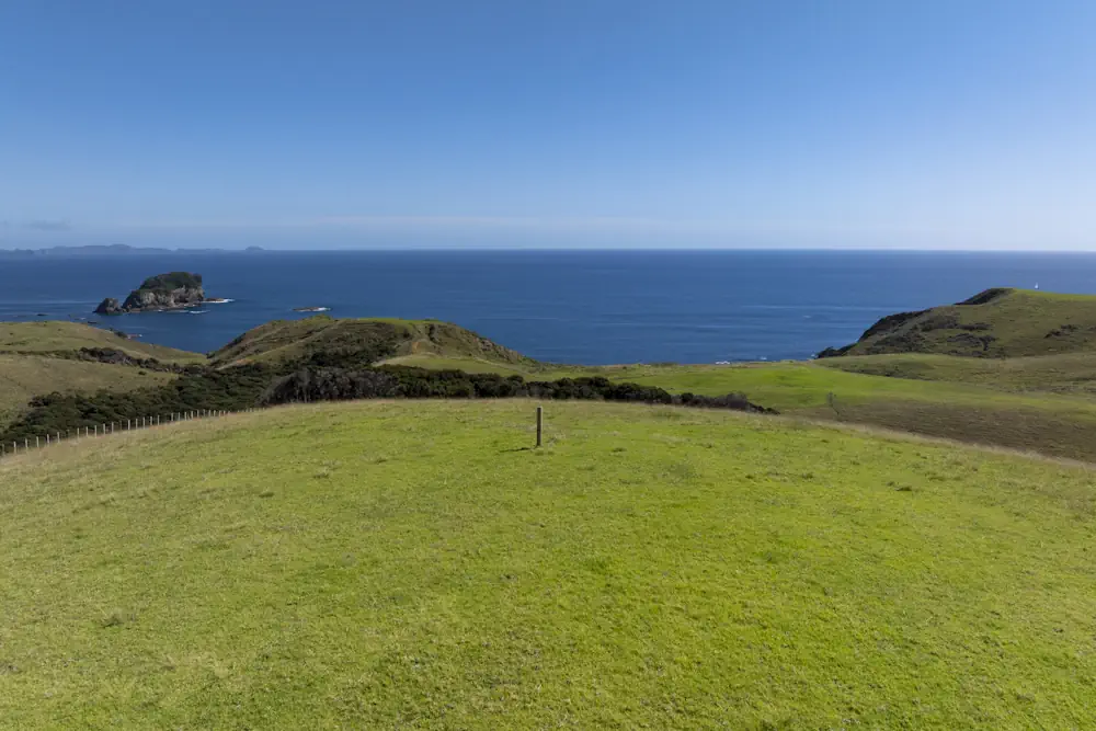 Wai Kowhai Lot 51-0798