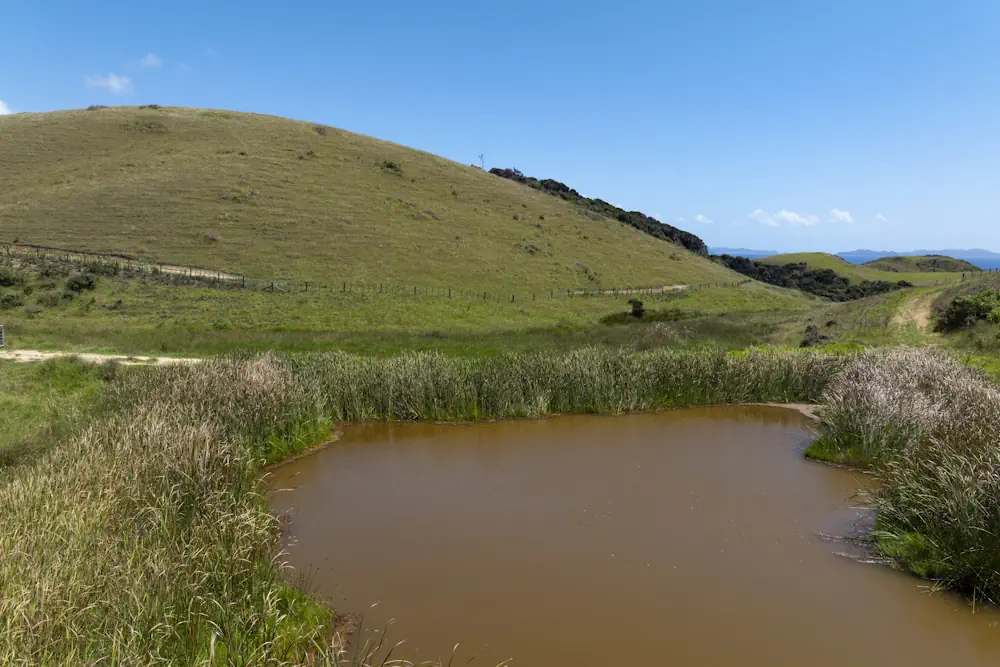 Wai Kowhai Lot 51-0838