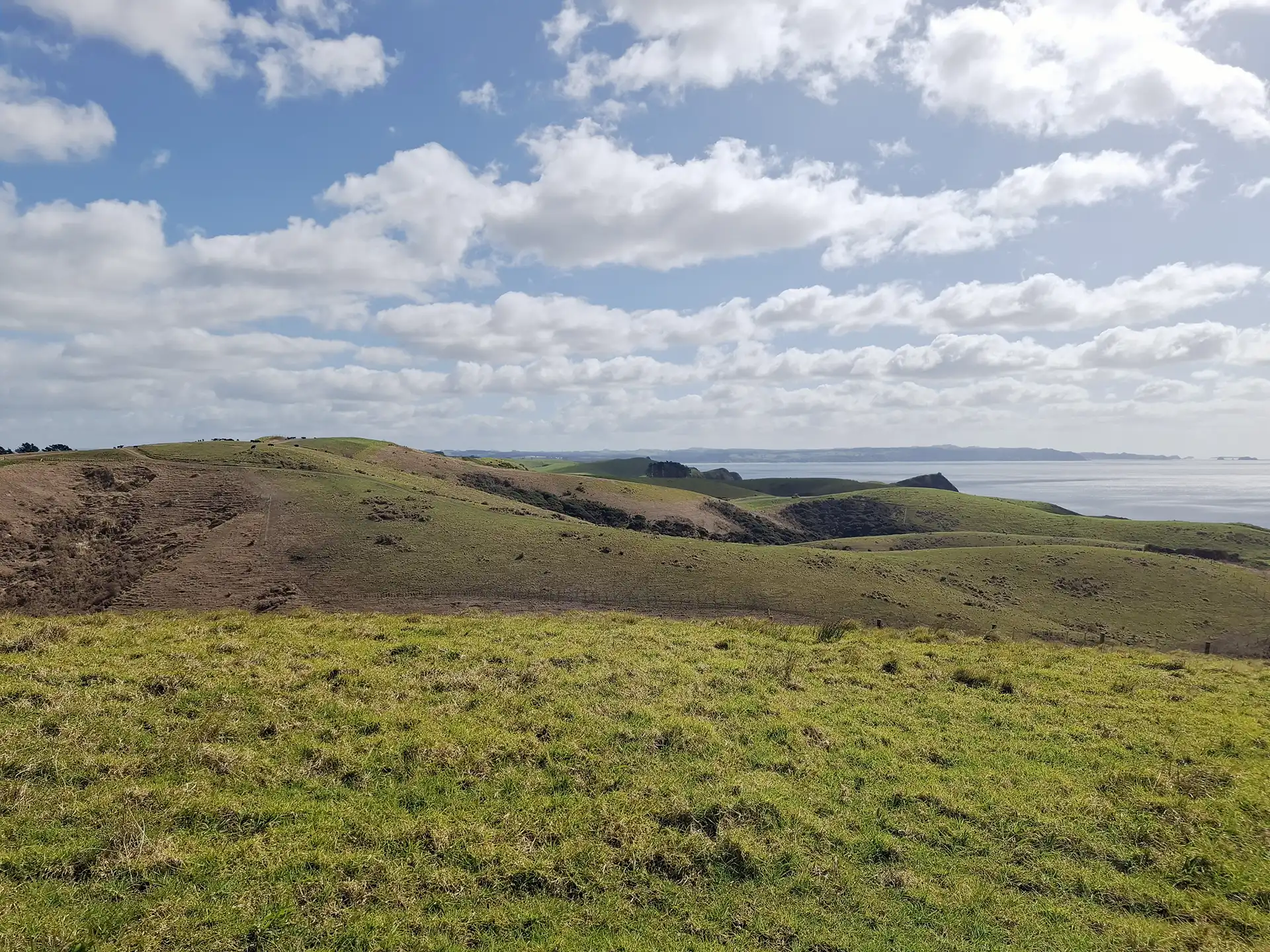 Wai Kōwhai Lot 51 -1