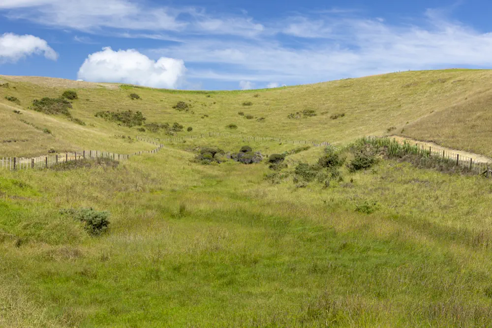 Wai Kowhai Lot 51-1991