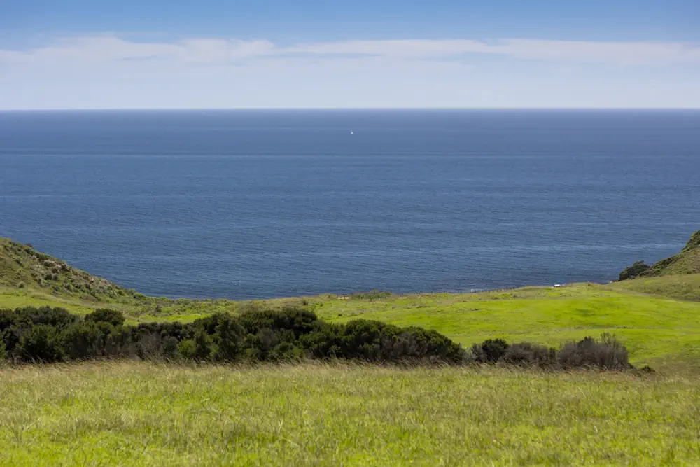 Wai Kowhai Lot 51-2002