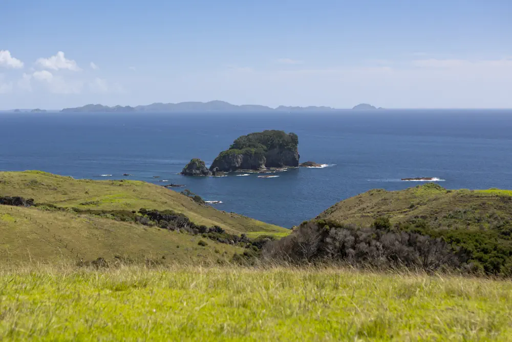 Wai Kowhai Lot 51-2004