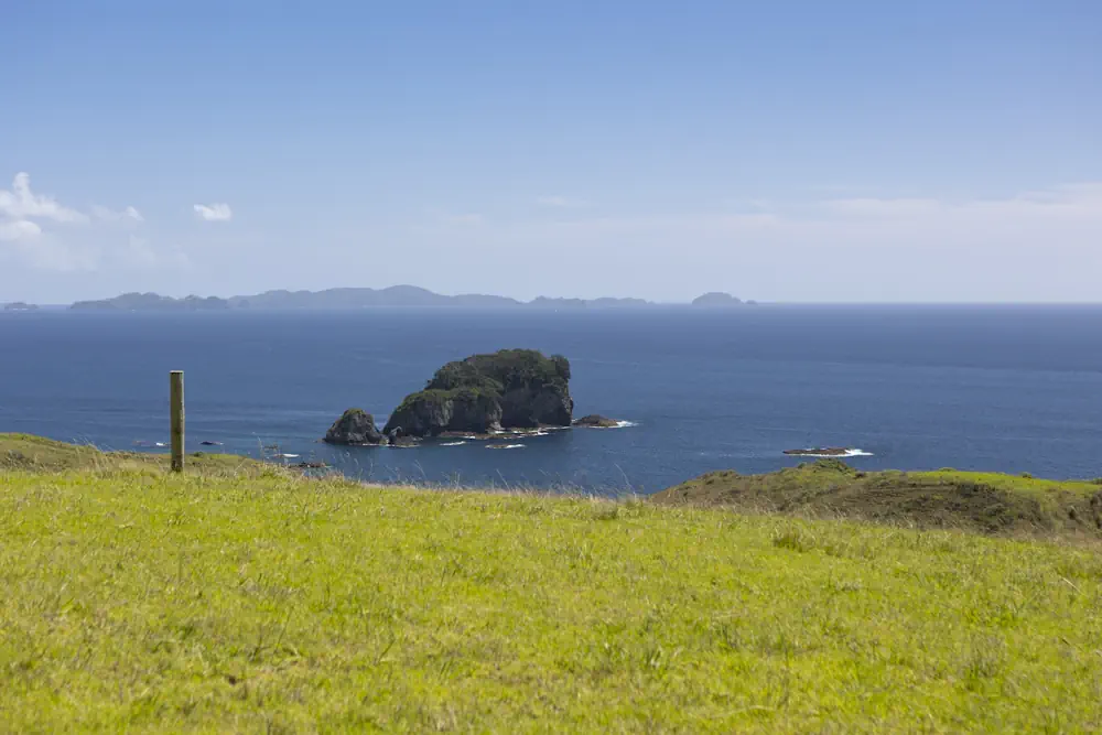 Wai Kowhai Lot 51-2006
