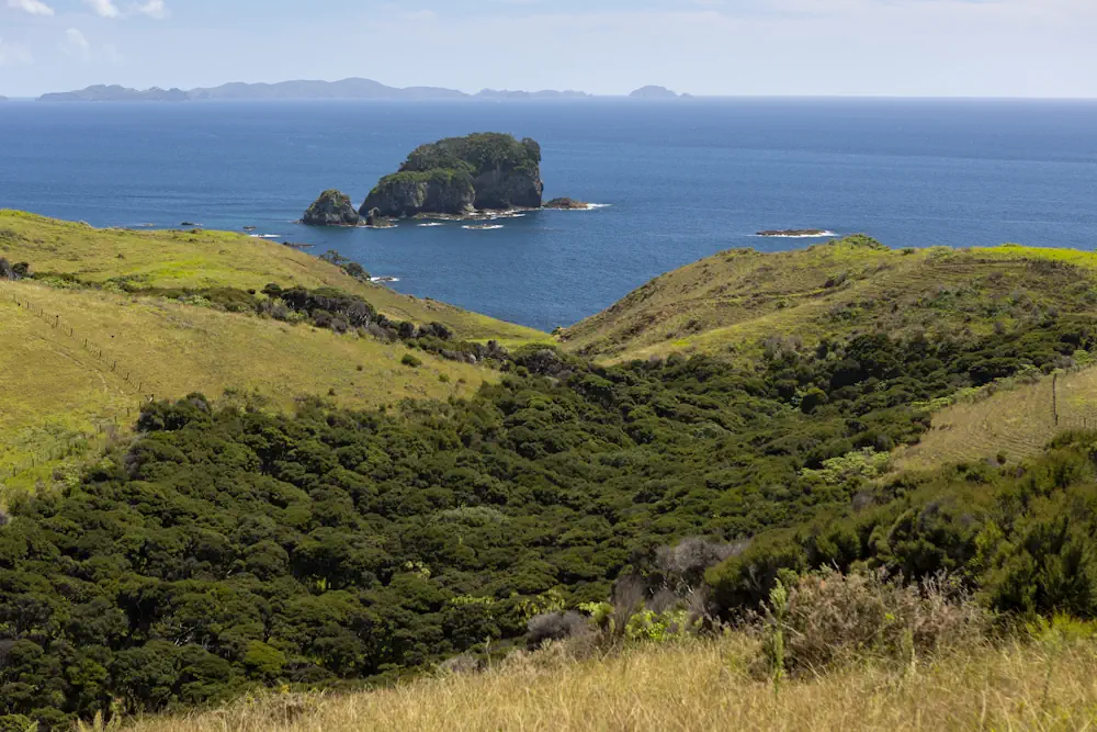 Wai Kowhai Lot 51-2010