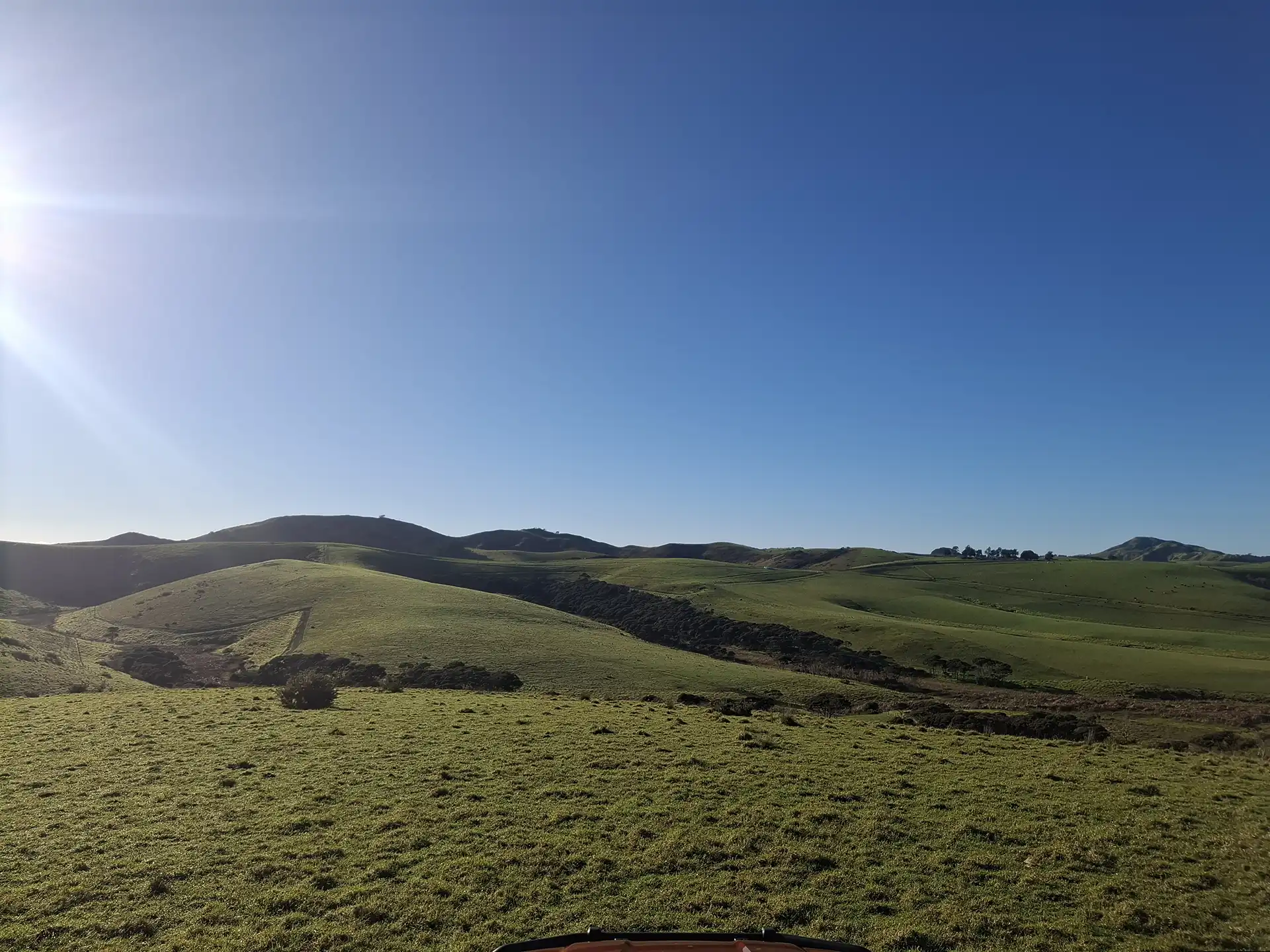 Wai Kōwhai Lot 7 -2