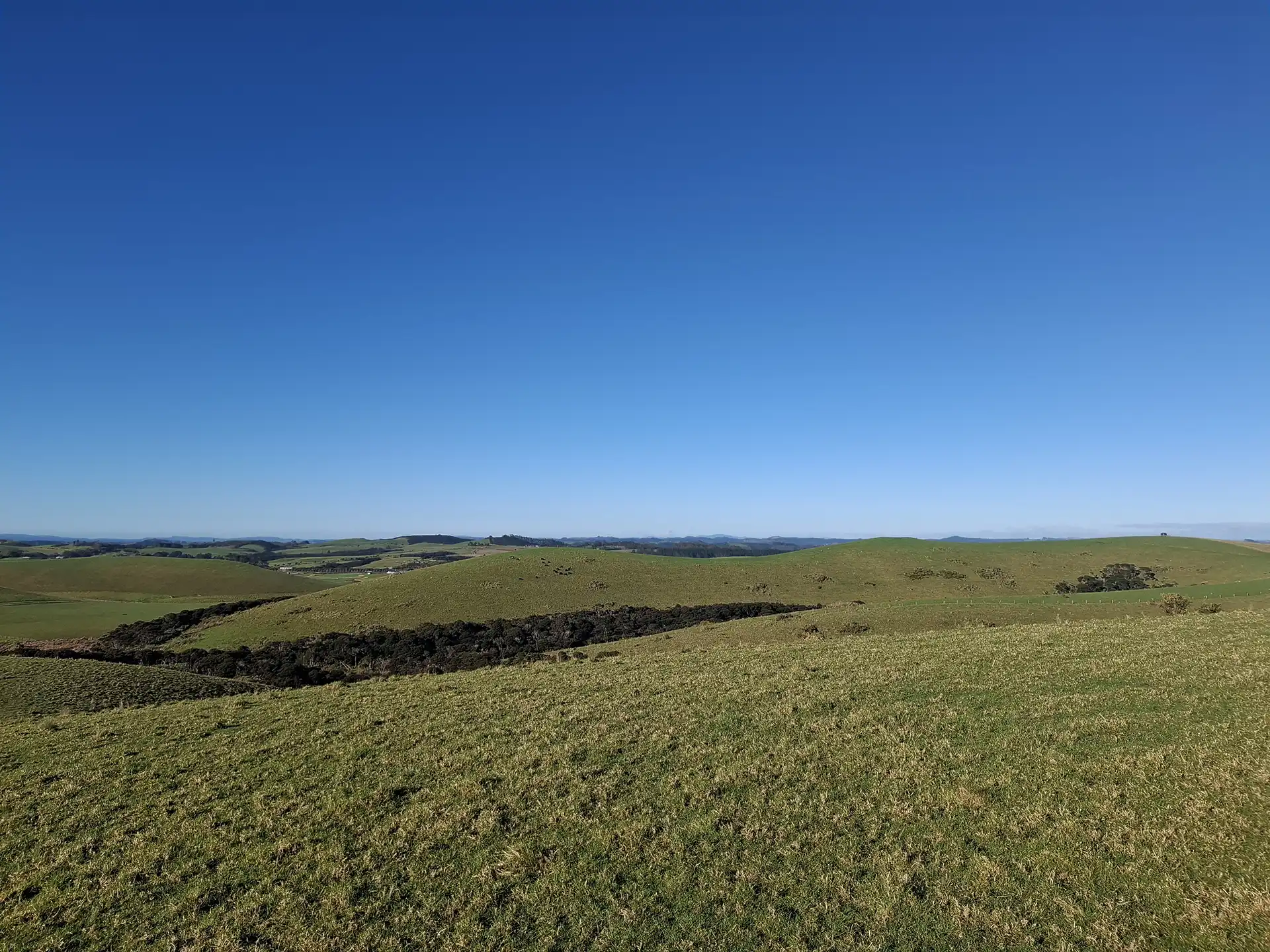 Wai Kōwhai Lot 7 -3