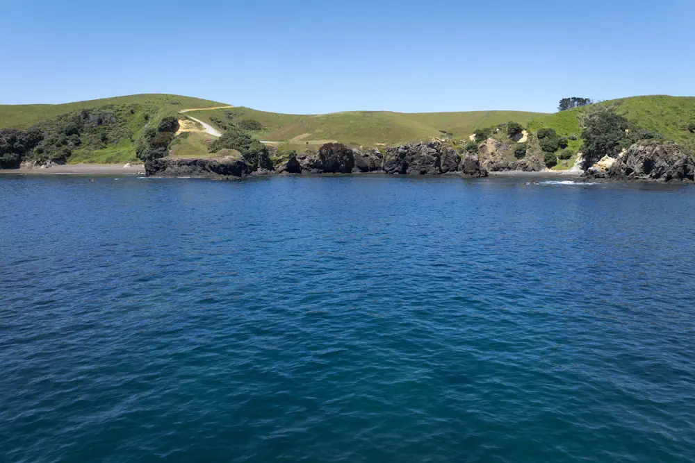 Lot 48 WaiKowhai-0008