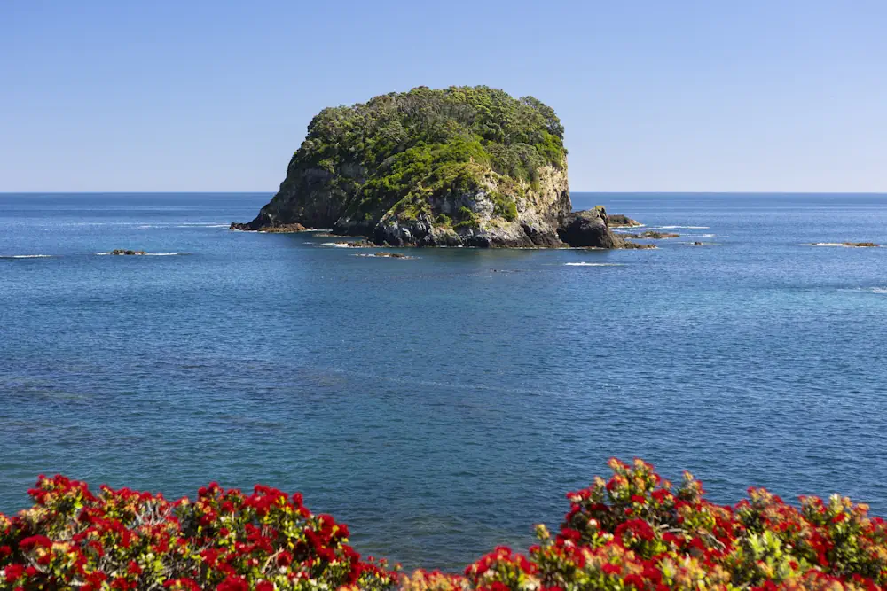 Lot 48 WaiKowhai-8844